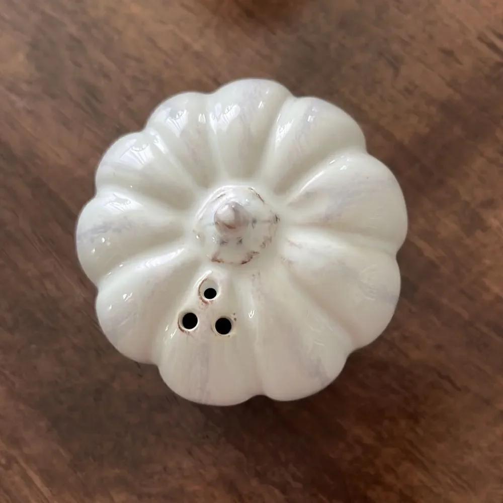 Set of 2 Turkey/1 Pumpkin Interchangeable Salt & Pepper Ceramic Painted Shakers